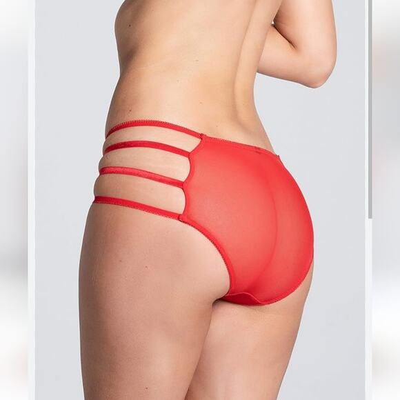 Yandy Red Applique Mesh Panty With Strappy Sides and Cheeky Cut Back Size M NWT- - Picture 2 of 8